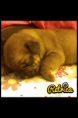 /album/galerie-photos/a273-png/