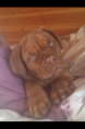 /album/galerie-photos/img-3956-png/