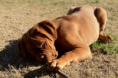 /album/galerie-photos/img-3117-png/